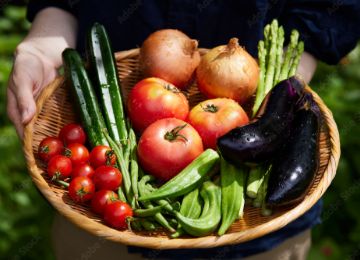 商品イメージ1（新鮮野菜）