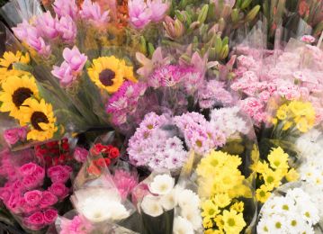 商品イメージ3（切り花各種）