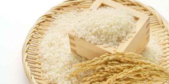 商品イメージ4（精米）