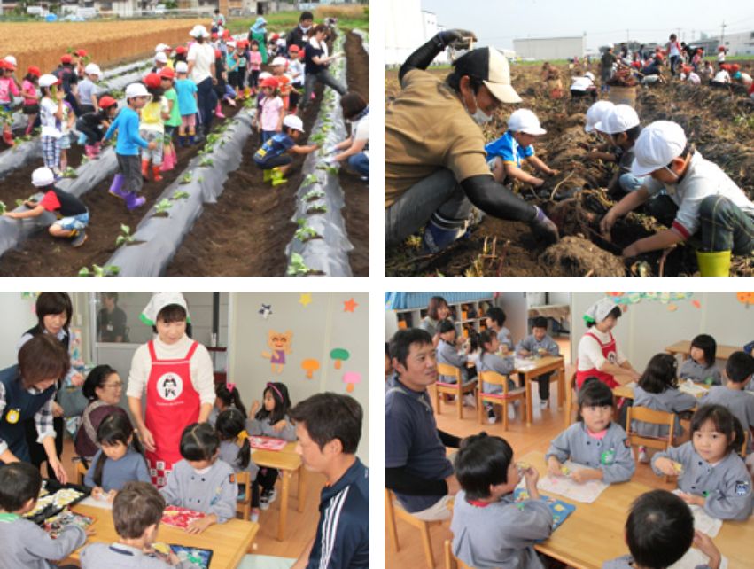 幼稚園園児たちにサツマイモ収穫体験