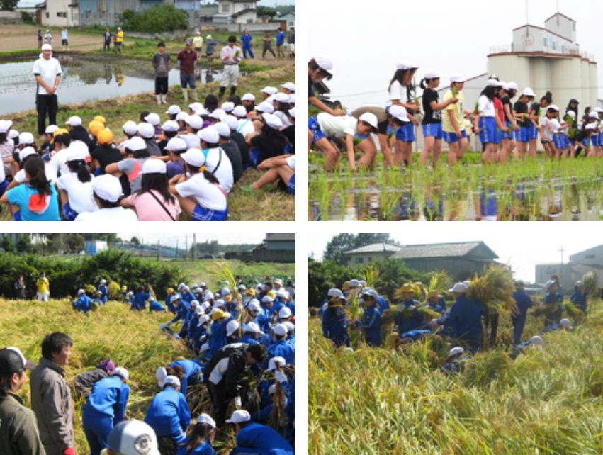 小学校PTAや保護者たちと協力し、田植え体験学習(JA前橋市宮城青年部)