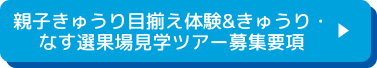 親子きゅうり目揃え体験&きゅうり・なす選果場見学ツアー募集要項