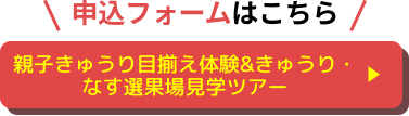 申込フォームはこちら 親子きゅうり目揃え体験&きゅうり・なす選果場見学ツアー